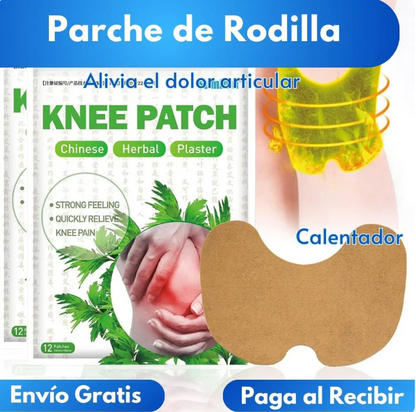 DolorOFF™ Parche Herbal  🛑 Basta de sufrir: 50 Parches por el precio de 1 💸 ¡Solo por hoy!
