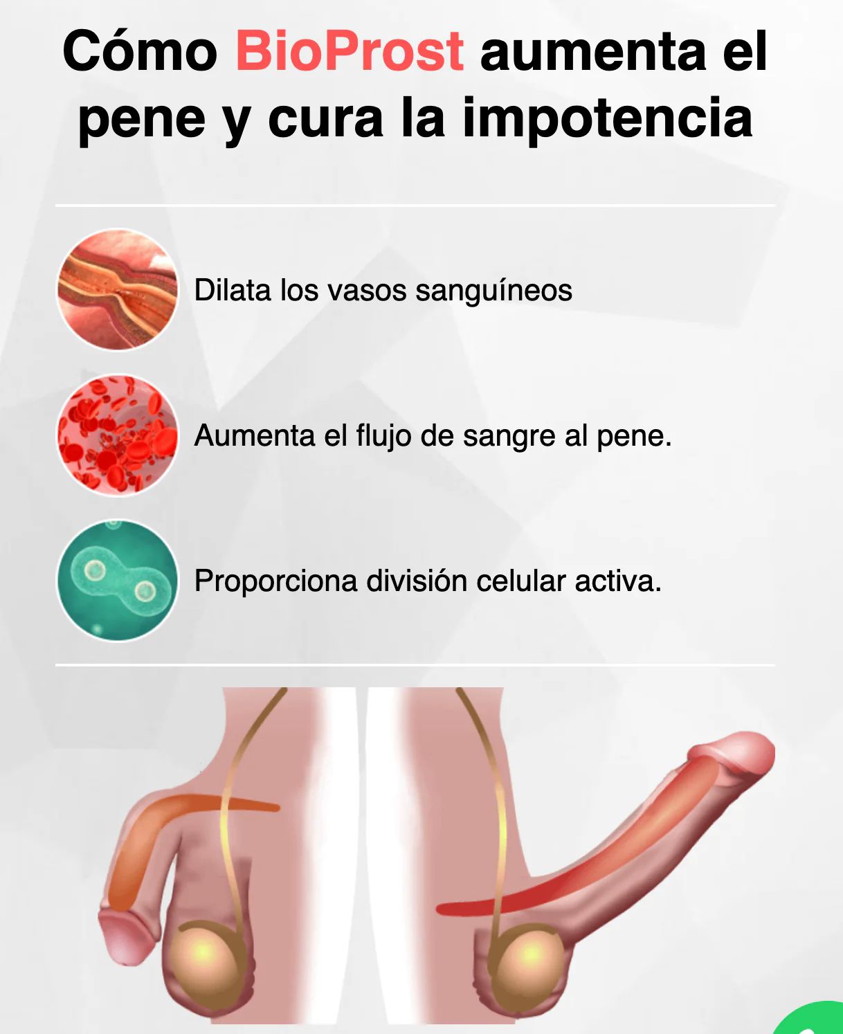 BIO PROST  CAPSULAS BLANDAS 60